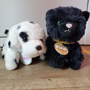 ustice Dalmatian Nikkie  & Black Kitty Pixie, Pets  Nikki & Pixie are super cute